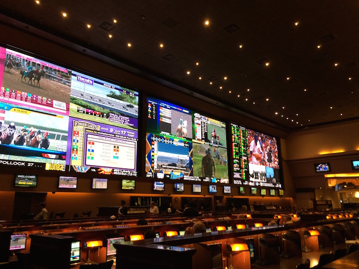 Red Rock Sports Book 